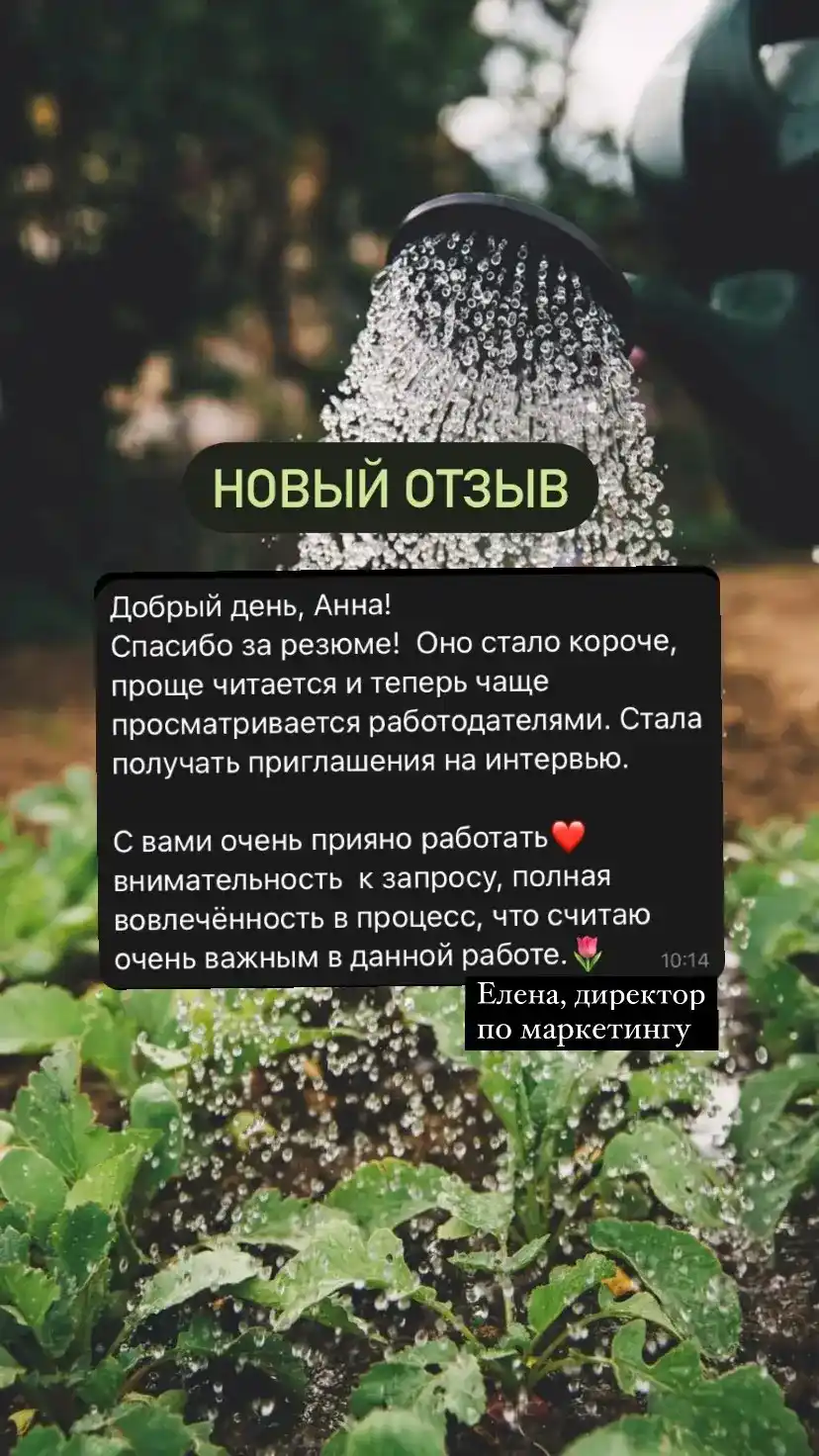 Отзыв клиента